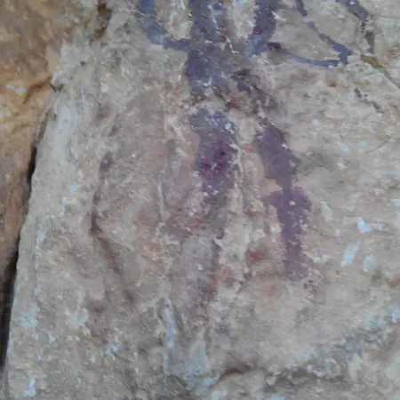 Casa-cueva Colleras Orce
